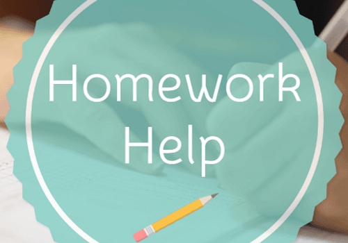 After School Homework Help